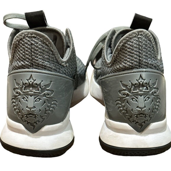 Nike LeBron Witness 4 Shoes Men’s Sz 11.5‎ CV4004-001 Cool Gray - Excellent